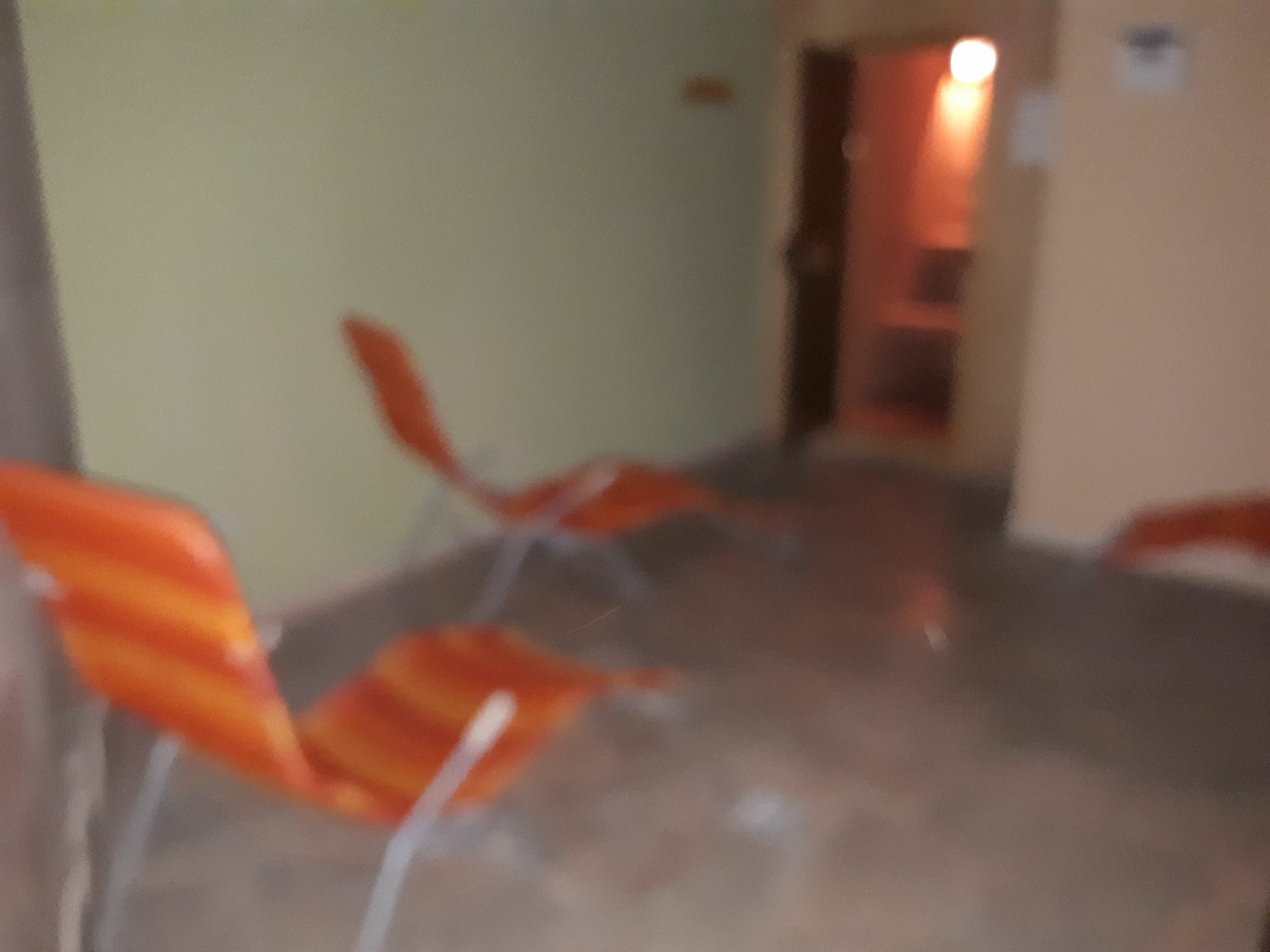 Ezio House Hotel Timisu de Jos Luaran gambar